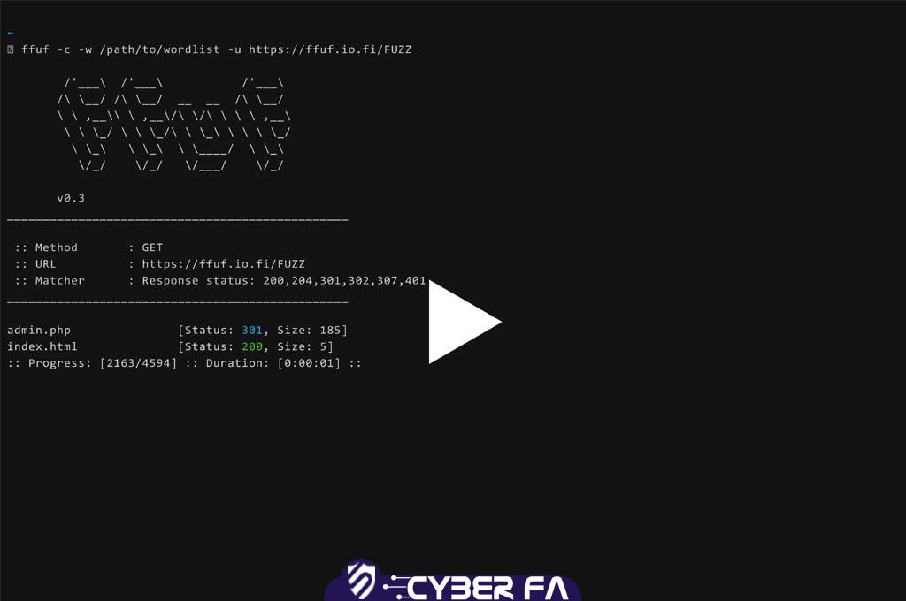 Fuzzer چیست ؟ + معرفی ابزار FFuF